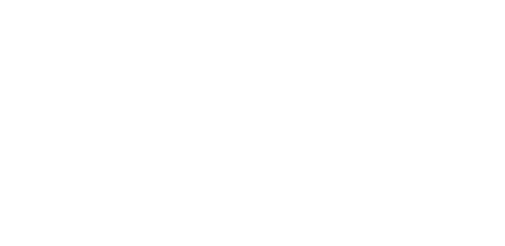 Logo MaVie VW Web-white
